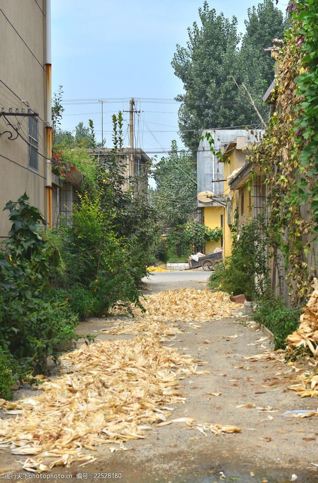 乡村街道农材街道