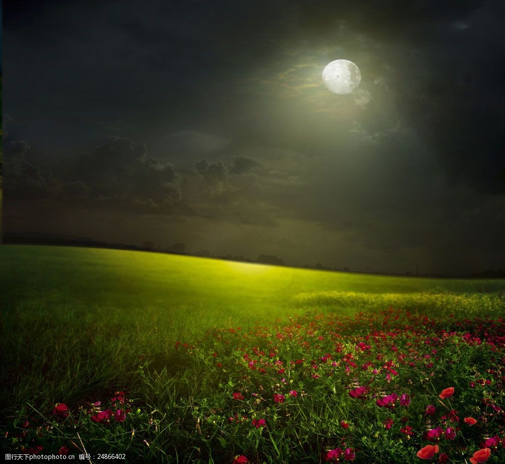 关键词:月光下的鲜花图片素材 月光 月亮 鲜花 草地 山水风景 风景
