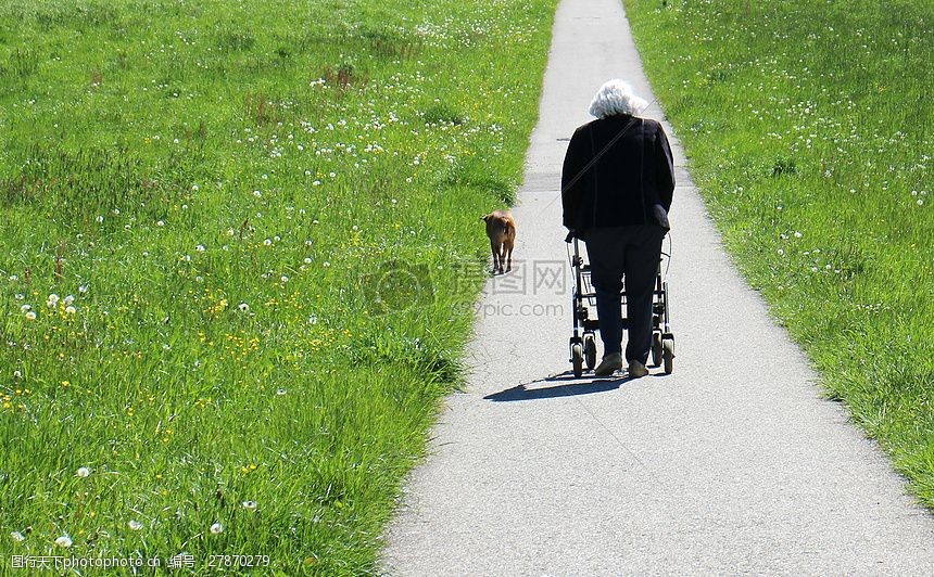 关键词:道路上的老年人和狗 植物 绿植 道路 老人 背影 散步     红色