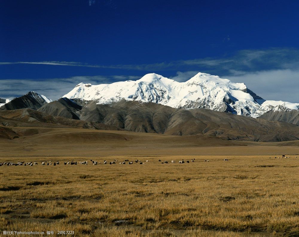 设计图库 高清素材 自然风景 关键词:草原雪山风景摄影图片素材 大