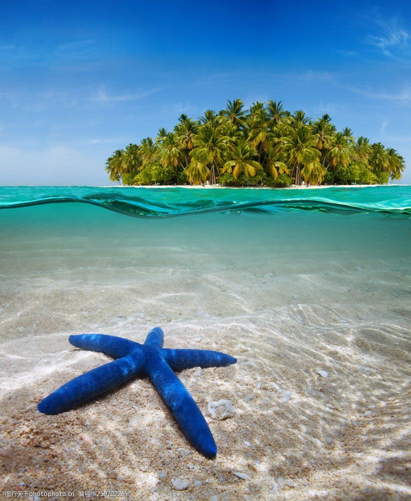 关键词:岛屿与大海图片素材 椰树 在海 海星 海浪 海水 大海图片 风景
