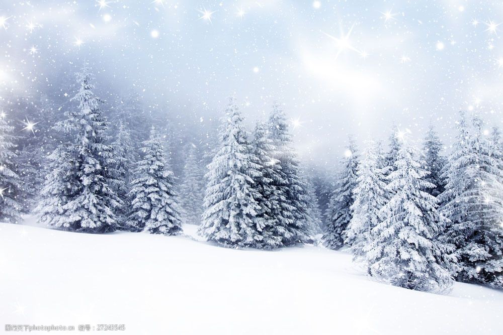 冬天的雪花与松树图片素材 冬天 雪花 雪景 松树 植物 雪地 山水风景