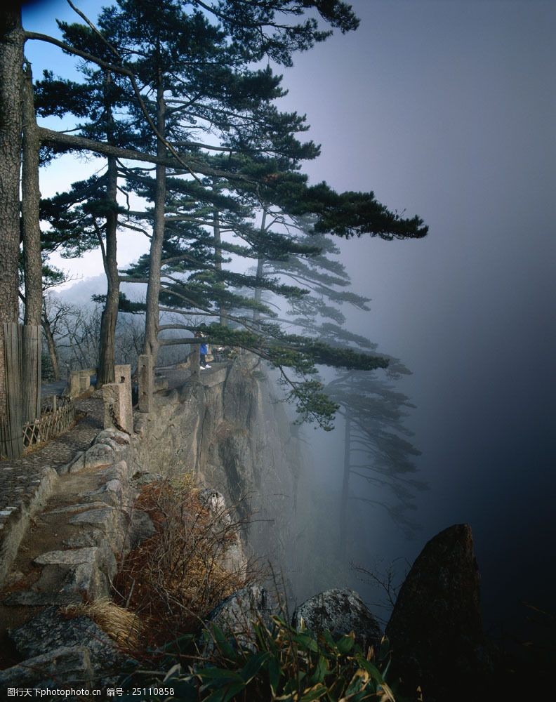 设计图库 高清素材 自然风景  关键词:高山峭壁松树景色图片素材 高山