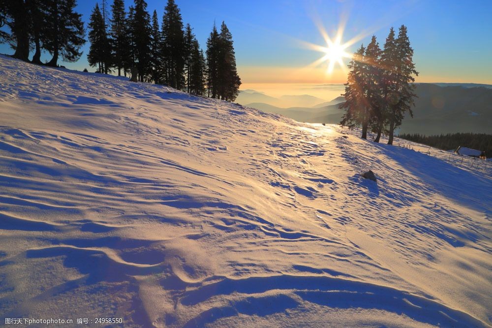 关键词:日落里的雪山图片素材 阳光 太阳 日落 雪地 雪花 雪景 树