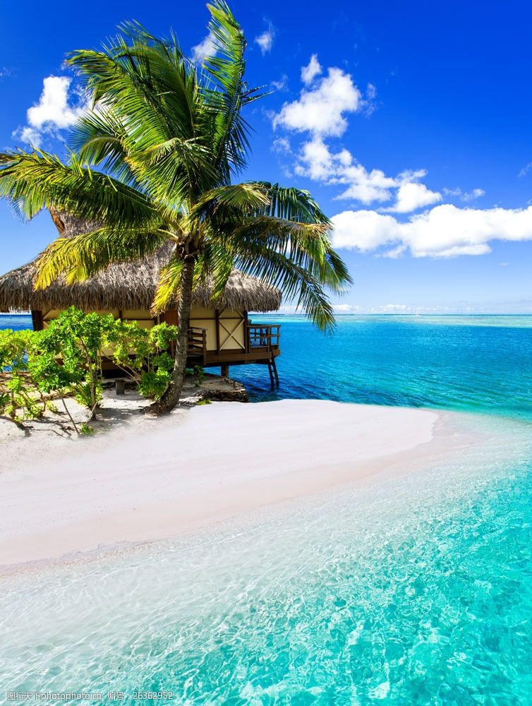 沙滩 房子 椰子树 大海 海水 风景 自然 风景名胜 风景图片 图片素材