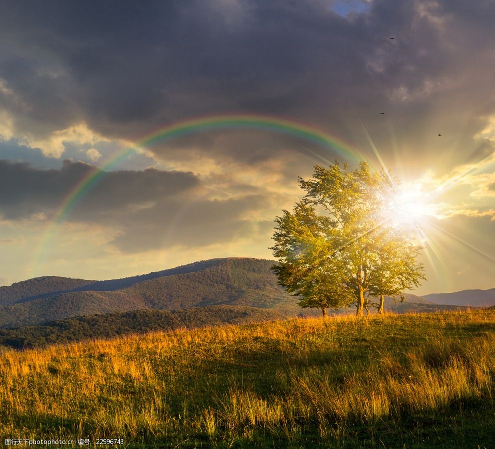草地上的七色彩虹高清摄影