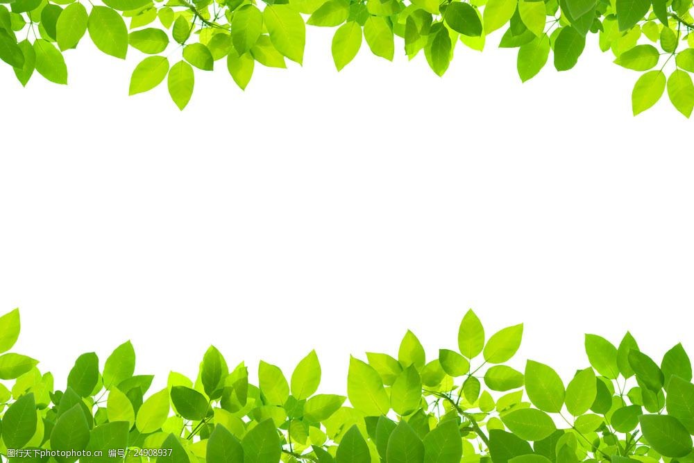 两只小兔子图片