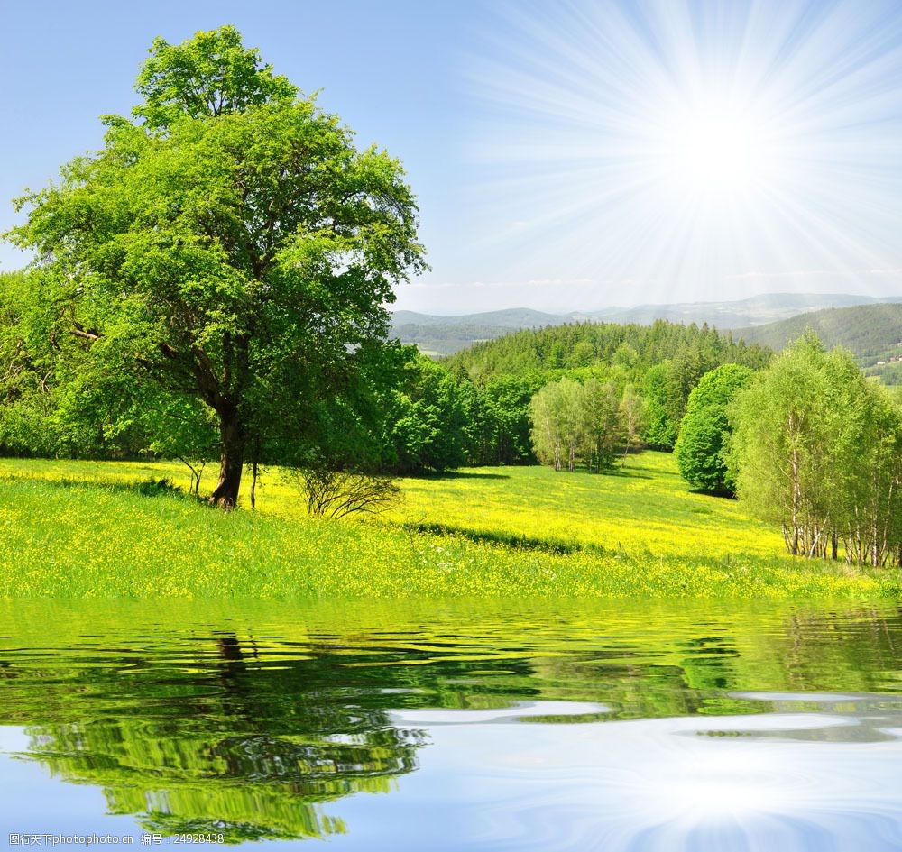 高清素材 自然风景  关键词:草地树木河流风景图片图片素材 春天风景