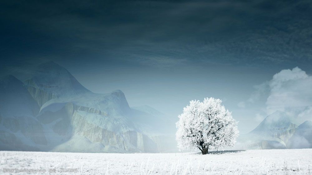 雪地上的树木风景图片