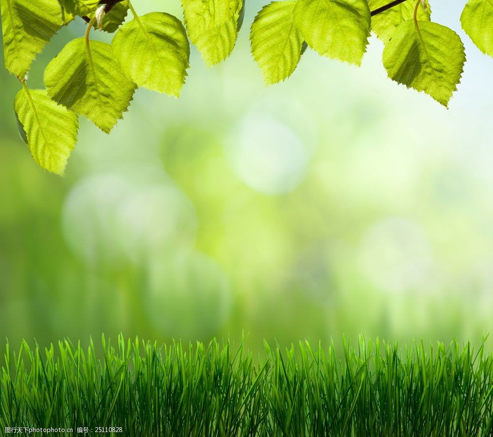 绿色植物背景图片素材 植物 绿色 背景 新鲜 自然 树叶 草地 山水风景