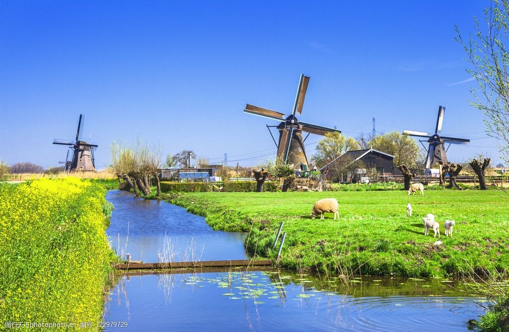 美丽的荷兰风车景色高清