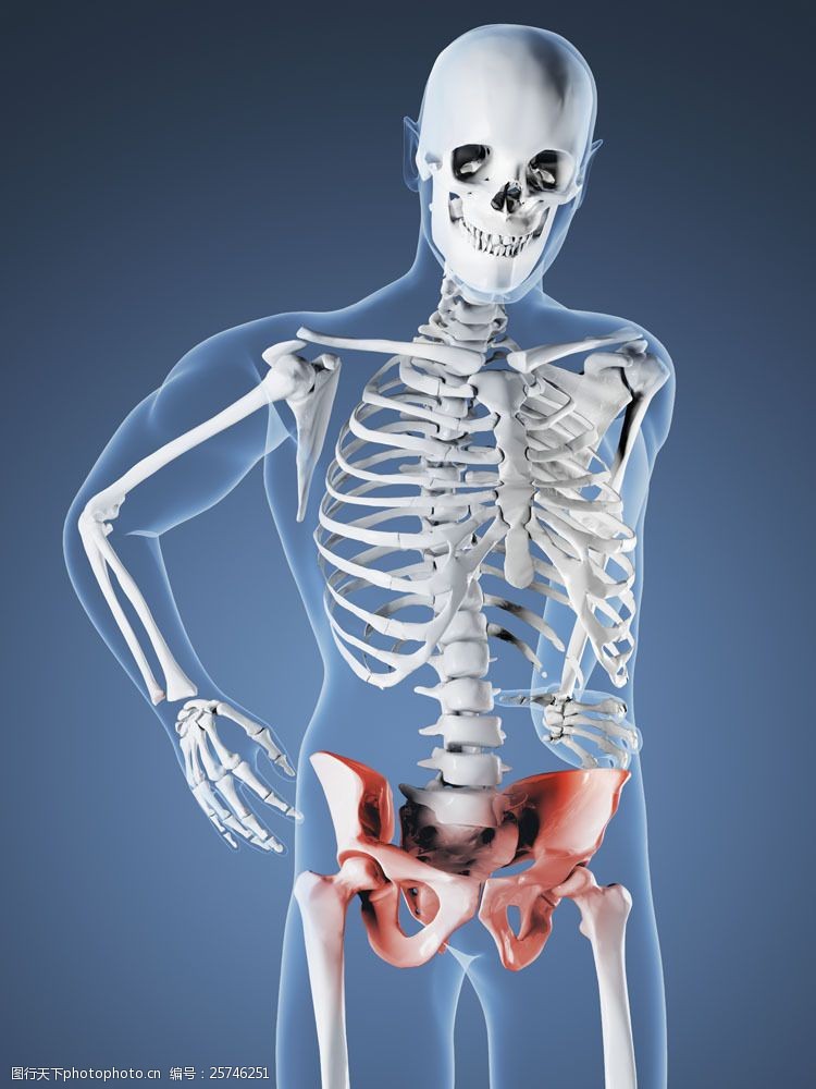 关键词:腰部x光图像图片素材 透视图 x光 图像 医疗主题 人体 腰部