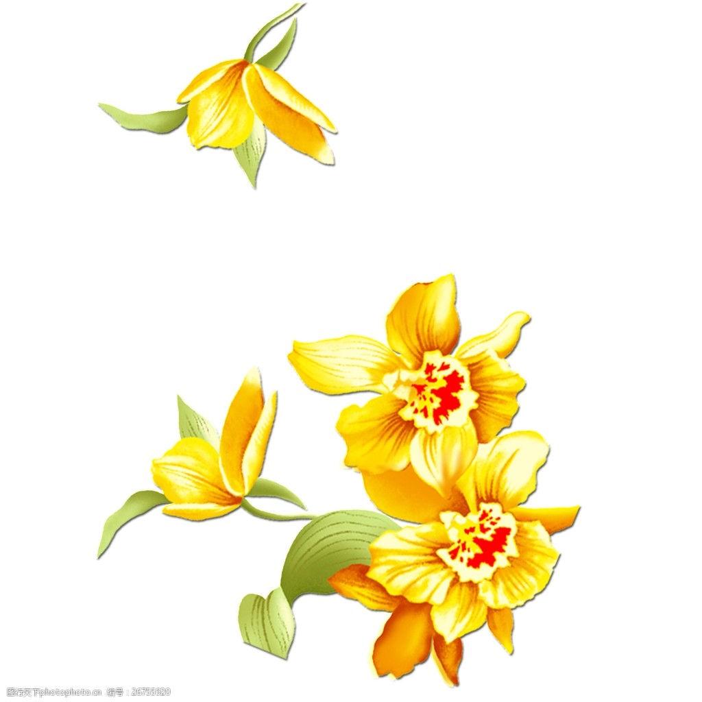 金黄色手绘花朵唯美素材