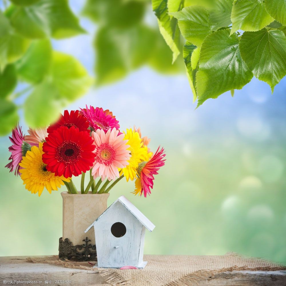 彩色 房子 花瓶 花朵 鲜花 花卉 植物 花草树木 生物世界 图片素材