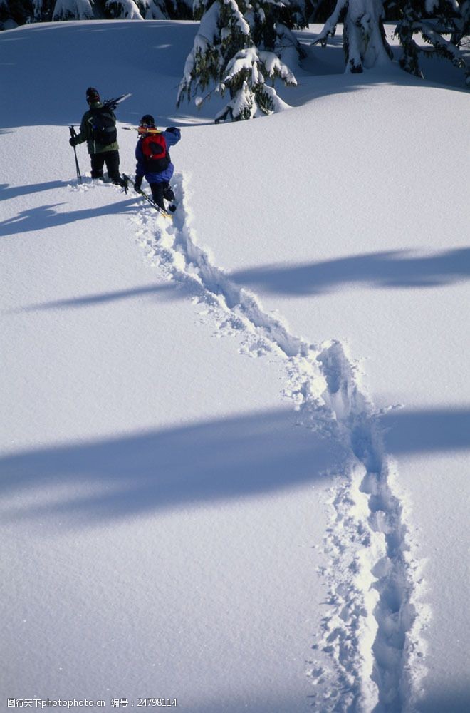 滑雪的人图片