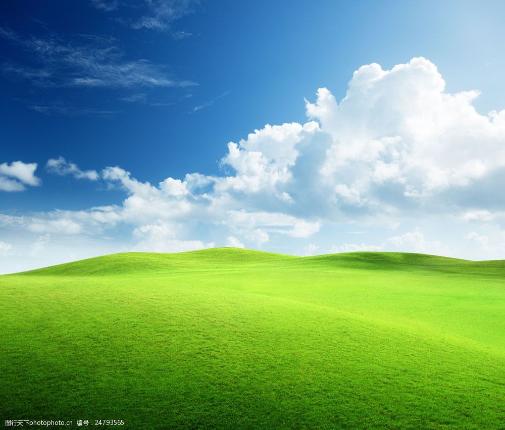设计图库 高清素材 动植物  关键词:蓝天白云下的草原图片素材 草地