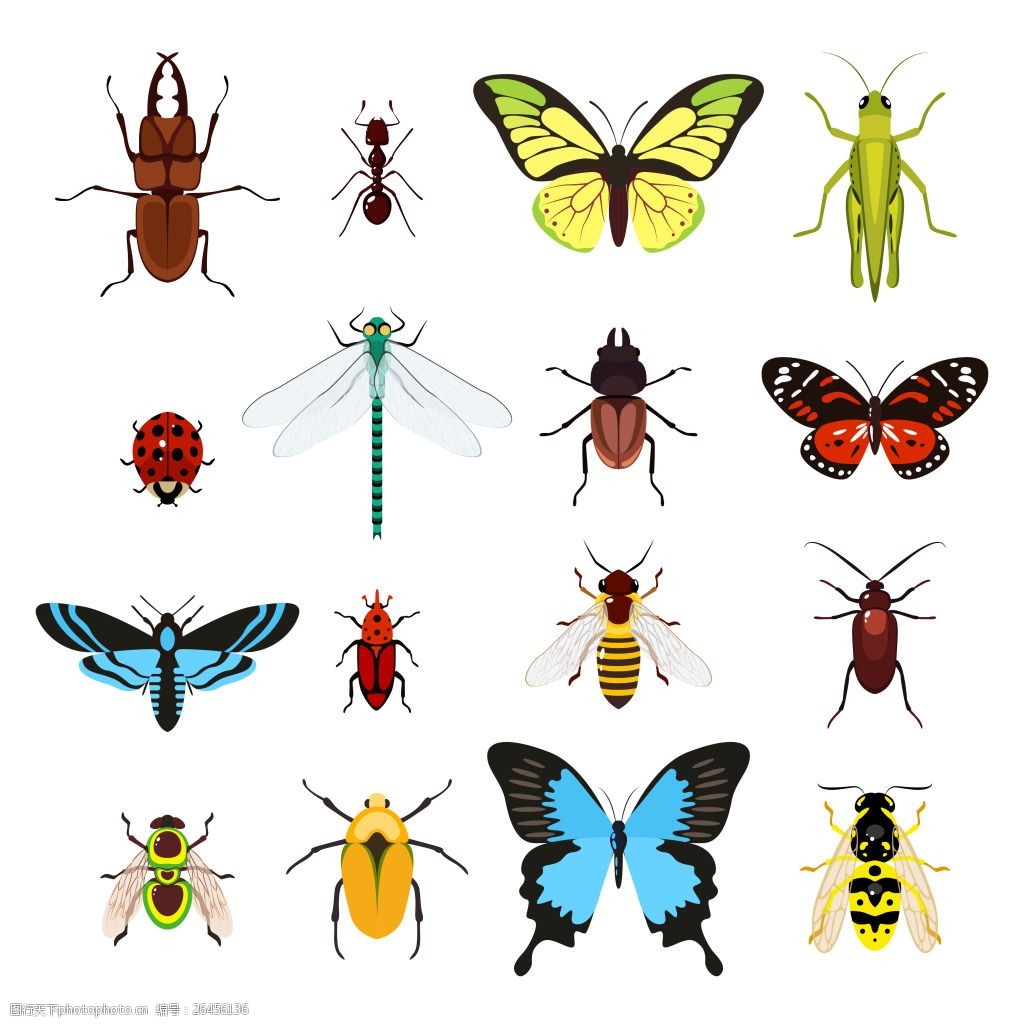 元素 设计素材 创意设计 动物 小动物 卡通 可爱 昆虫 虫子 蝴蝶 蜜蜂