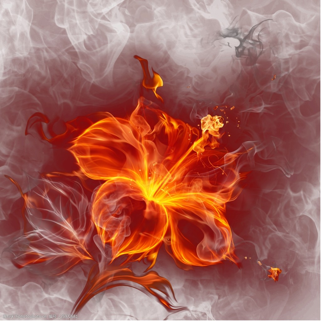 玫瑰 开花 发火焰 - Pixabay上的免费照片 - Pixabay