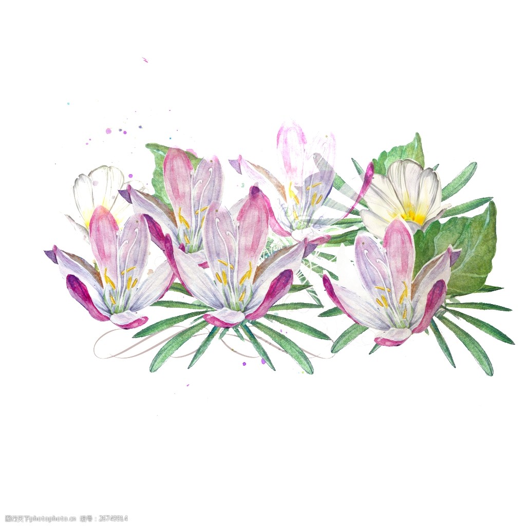 唯美高清手绘花朵素材