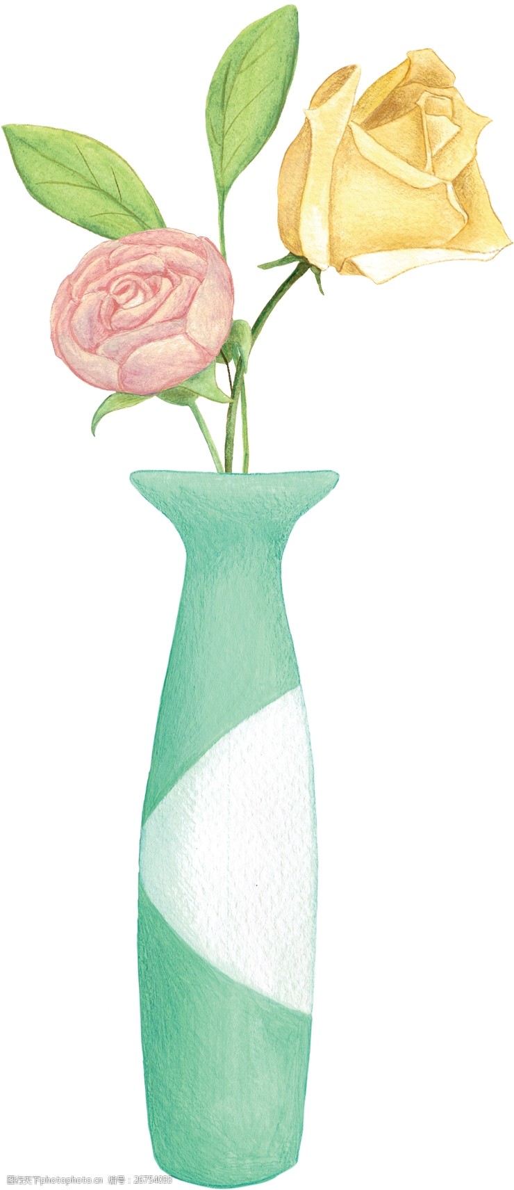 手绘花朵 彩铅 彩铅植物 手绘插画 唯美 花卉花朵 手绘植物 花瓶