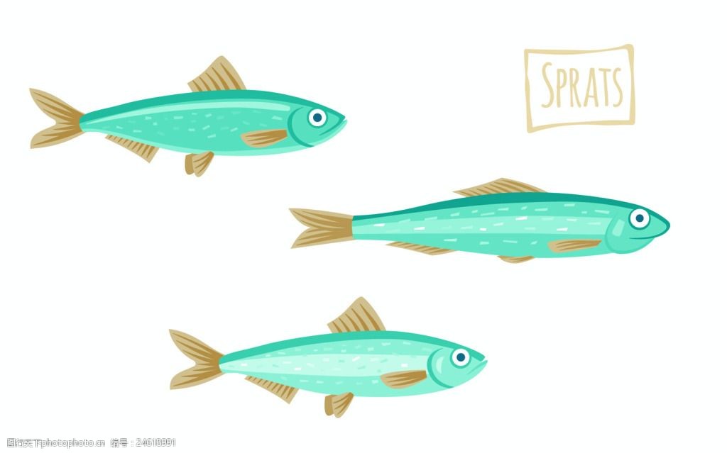 沙丁鱼卡通插画鱼海鲜矢量素材