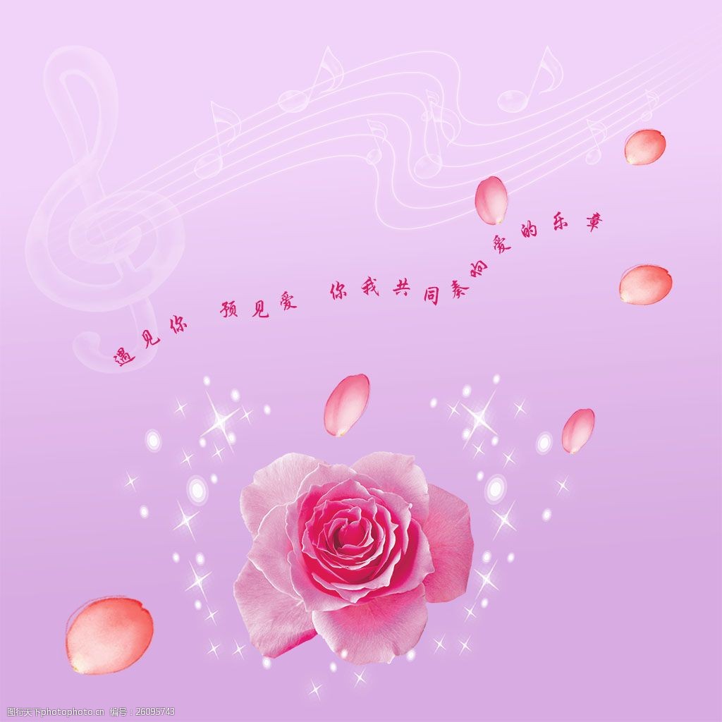 音乐符号背景五线谱玫瑰花花瓣浅紫色