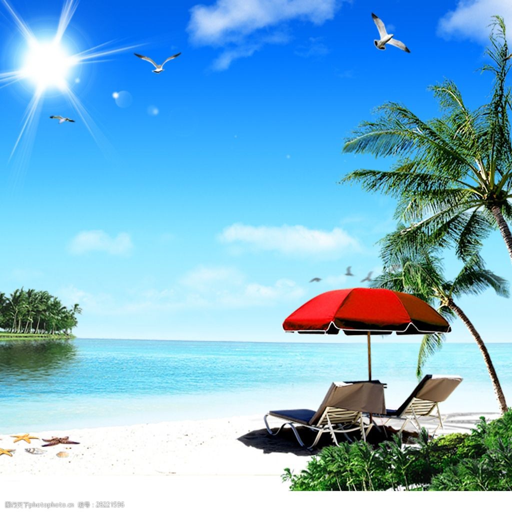 海边沙滩椰子树风景 夏季风景 沙滩 唯美风景 夏季 风景 椰子树 背景