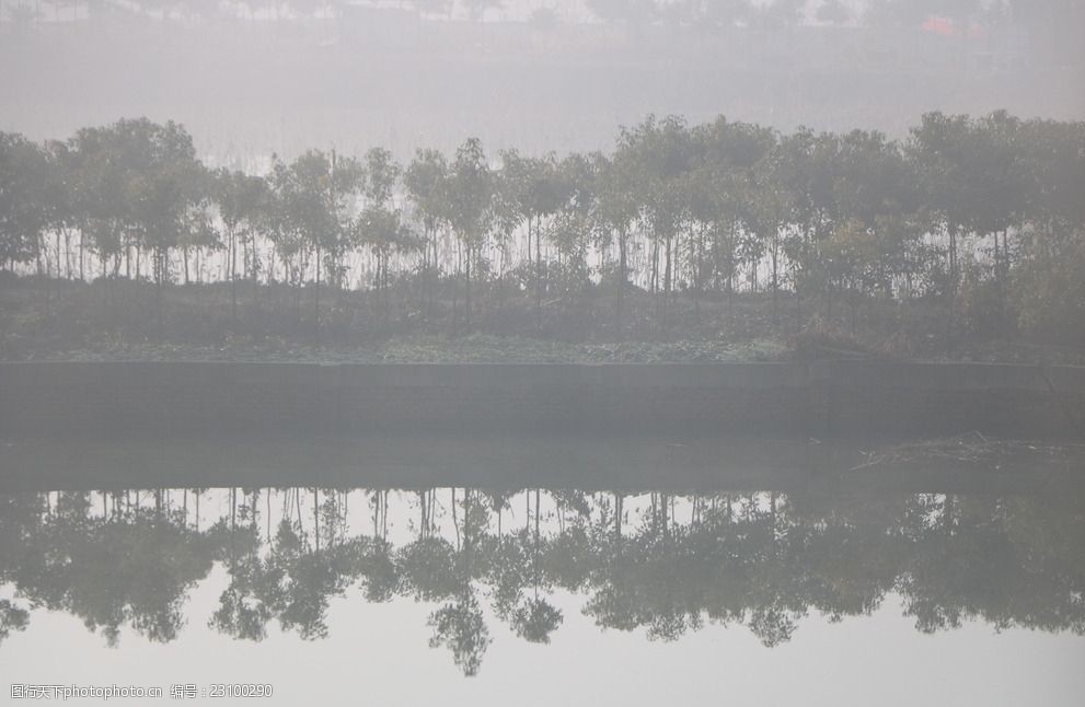 雾色水池塘