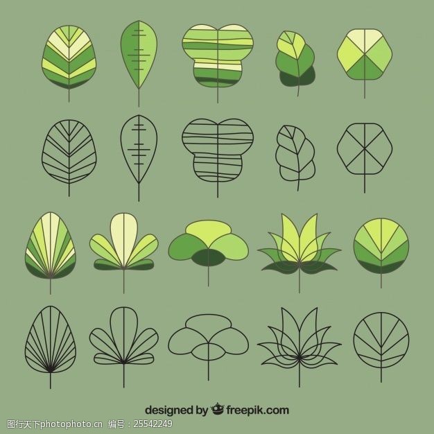 关键词:树叶素描集 手 几何 叶 自然 手绘 树叶 生态 绘画 有机 植物