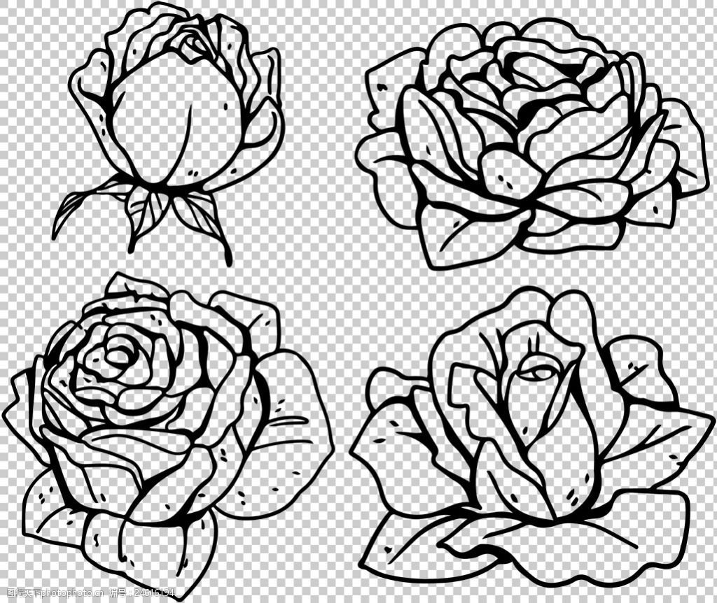 黑色线描玫瑰花插画免抠png透明图层素材