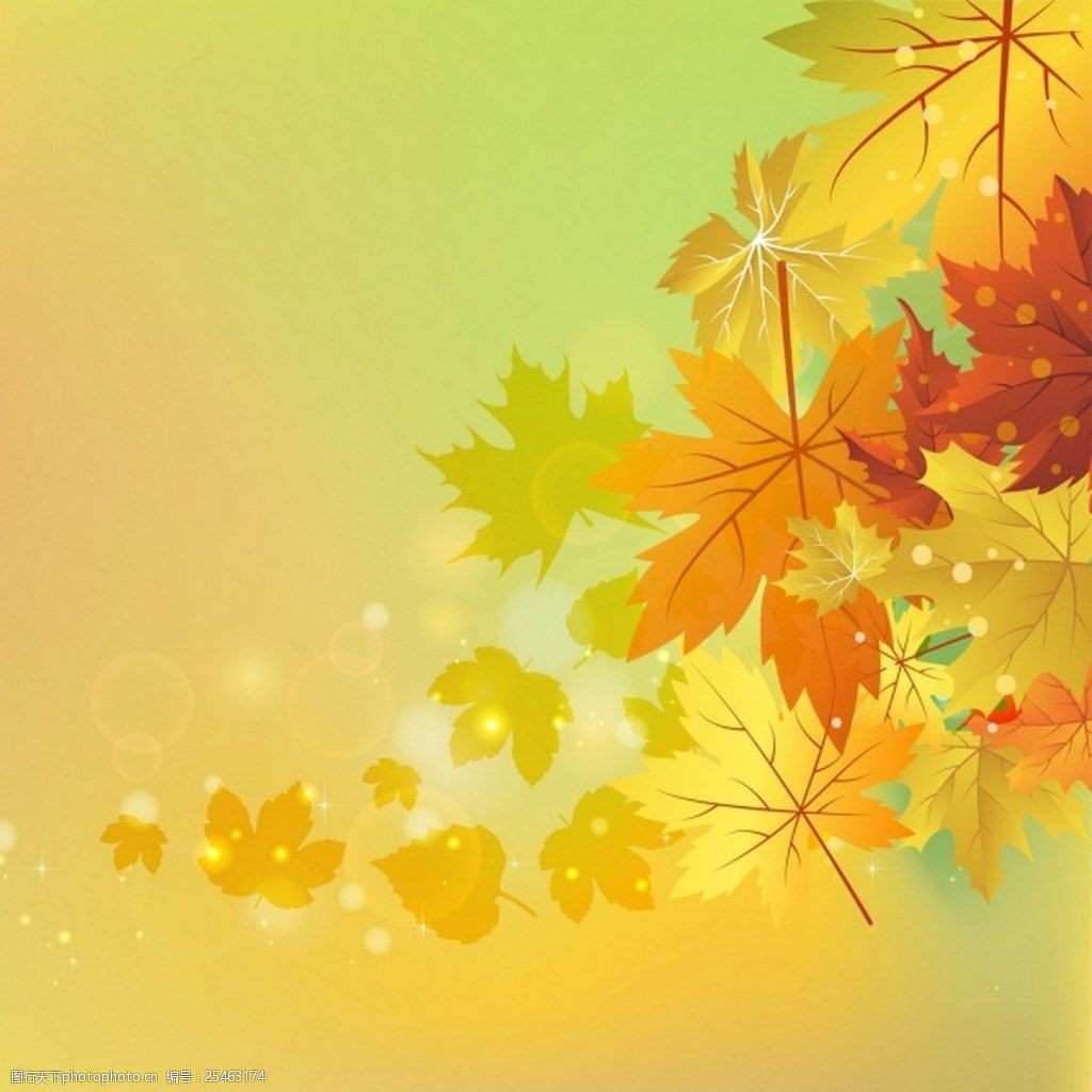 秋季漂亮黄色叶子背景图