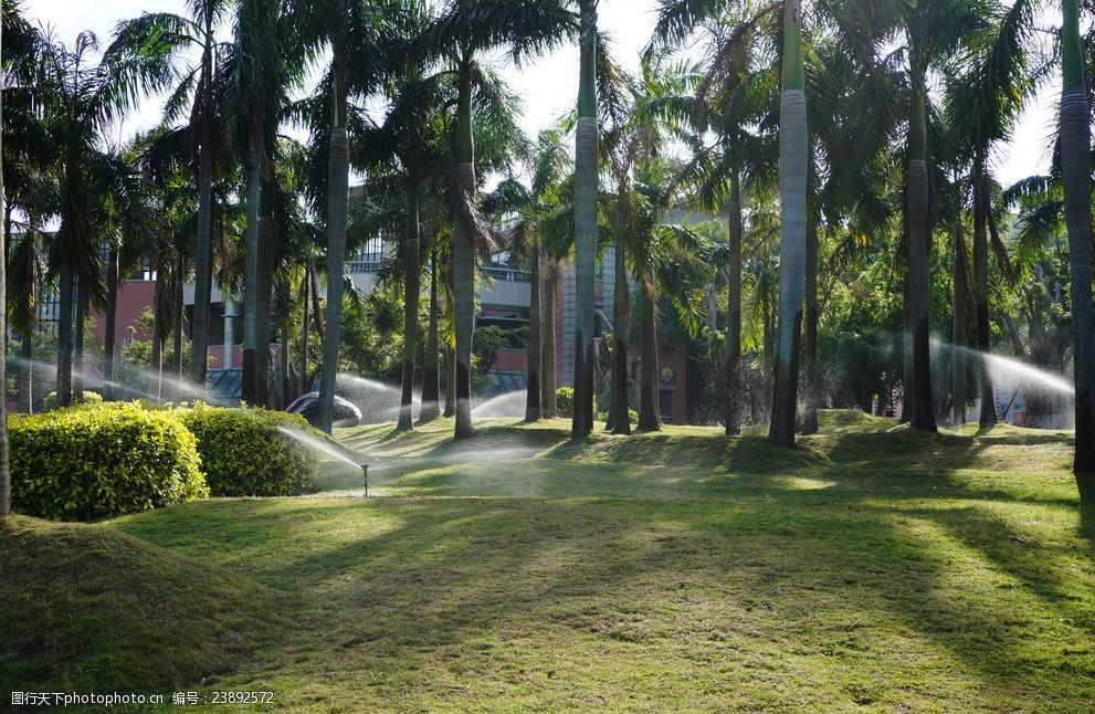 关键词:厦门大学 校园 树林 厦大 草地 风景 人文景观 摄影 旅游摄影