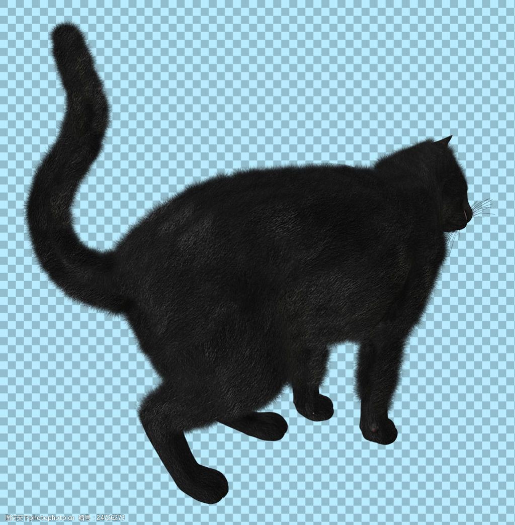 黑色猫剪影免抠png透明图层素材