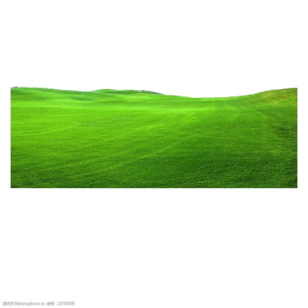 绿色草地元素