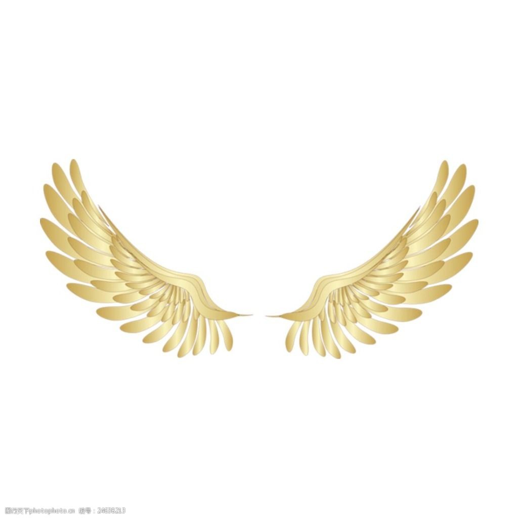 关键词:金色翅膀元素 抽象 金色 天使 翅膀 元素