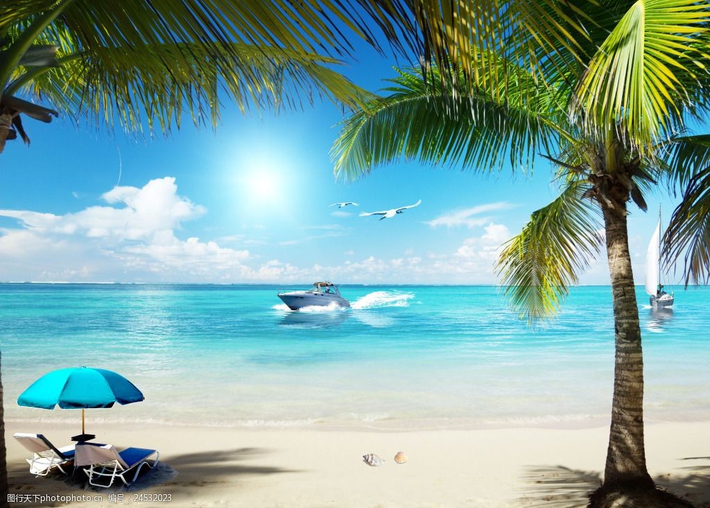 关键词:海滩帆船海鸥铁树蓝色背景 海滩 沙滩 日光浴 休闲 游艇 海洋