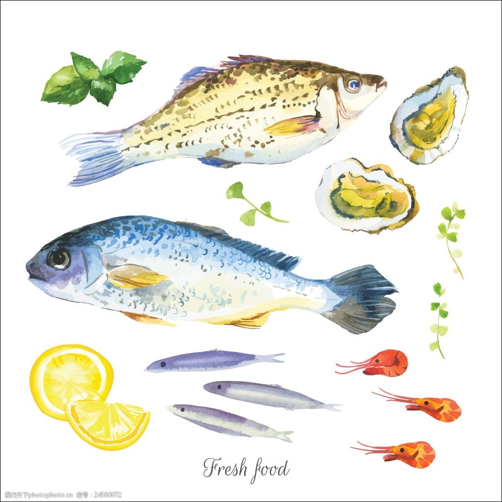 关键词:手约新鲜的海鲜食材插画 香料 海鱼 生蚝 柠檬 水果 秋刀鱼 基