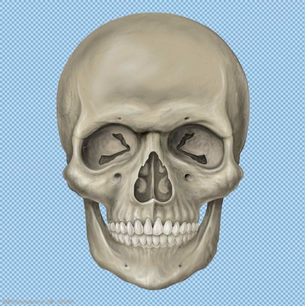 手绘人头骷髅免抠png透明图层素材