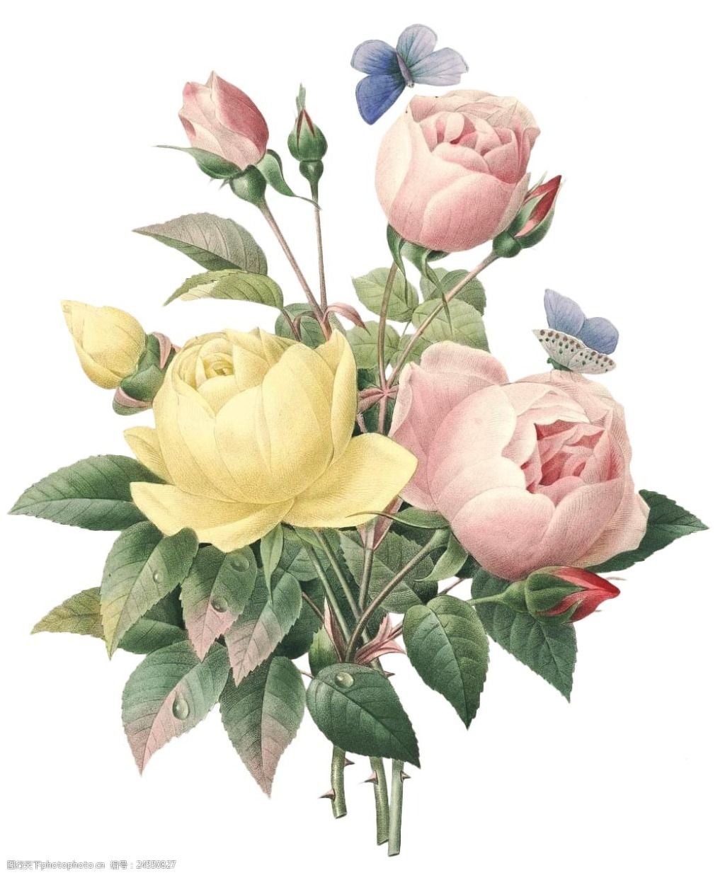 手绘水墨花朵元素 手绘 油画 绿叶 花朵 花瓣 png 水墨 免抠 素材 png
