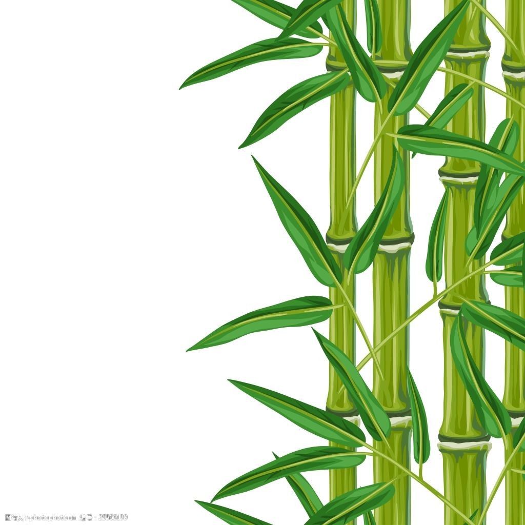 绿色青翠的竹子插画 植物 绿色 清新 青翠 翠绿 竹子 竹叶 插画