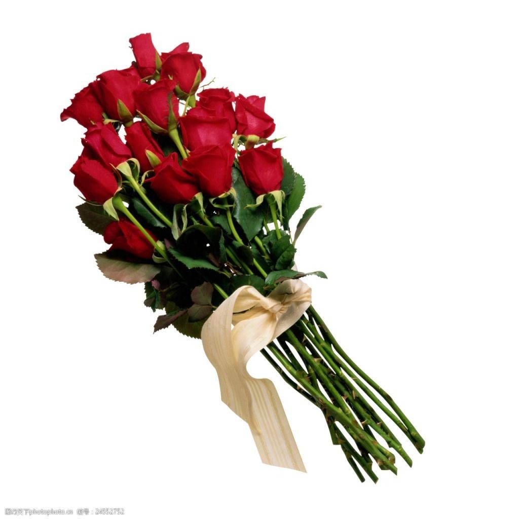 手绘玫瑰花束元素 手绘 浪漫 红色玫瑰 花枝 米色飘带 png 免抠 素材