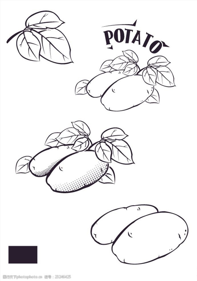 矢量土豆农产品AIcs5