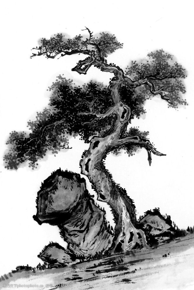水墨画之石头边树干弯曲的松树