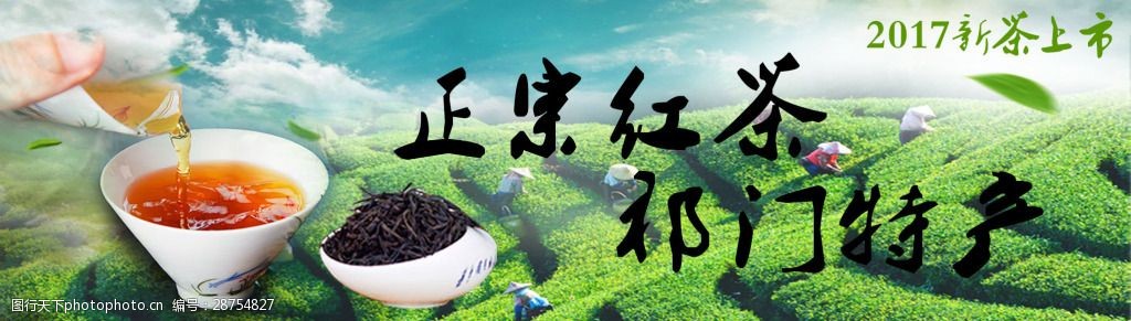 祁门红茶网页banner