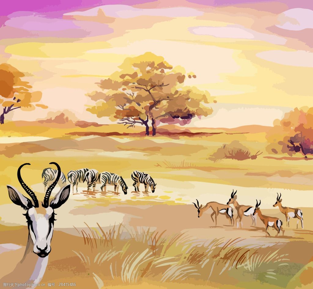 关键词:大草原上的动物们插画 水彩绘 风景 大草原 羚羊 非洲 天空