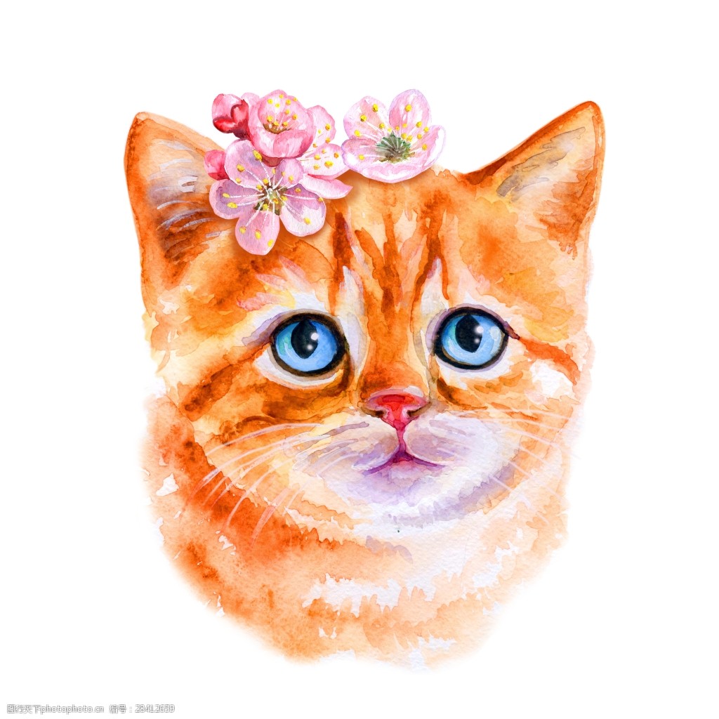 水彩手绘猫咪插画