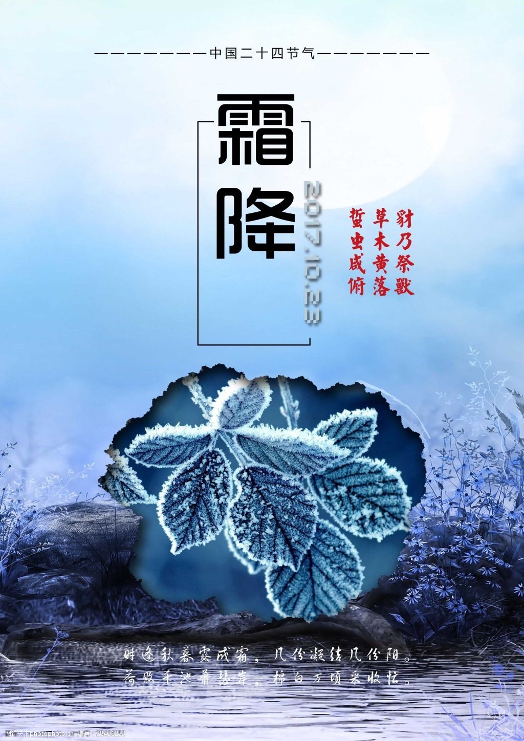中国节气简约霜降海报