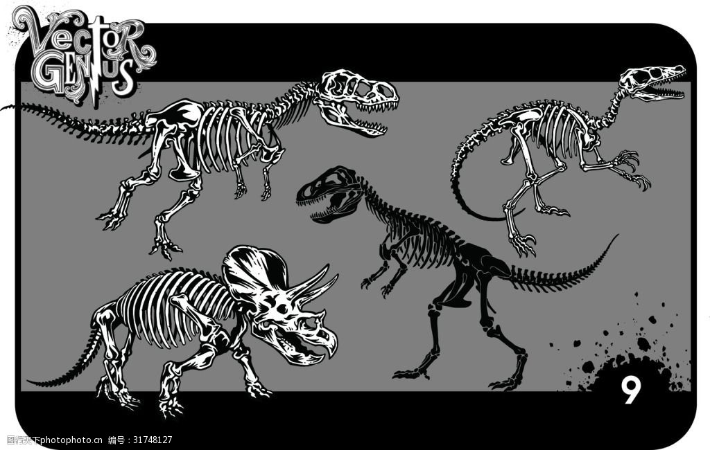 矢量素材恐龙骨架