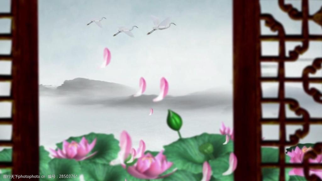 中国风淡雅荷花雕花窗户视频素材