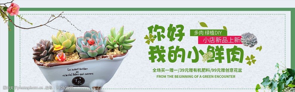 灰色小清新多肉绿植盆电商海报